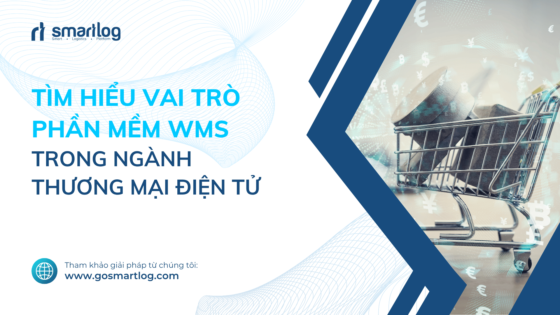 VAI TRÒ CỦA PHẦN MỀM WMS TRONG THƯƠNG MẠI ĐIỆN TỬ