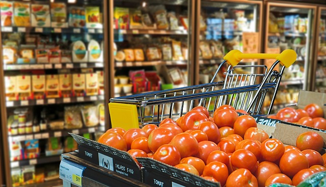 OPTIMIZING TRANSPORTATION FOR A FOOD RETAIL NETWORK WITH AUTO-PLANNING