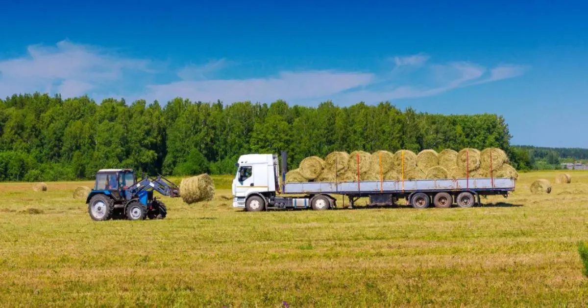 OPTIMIZING AGRICULTURAL SUPPLY CHAIN MANAGEMENT WITH STM, SWM AND CONTROL TOWER
